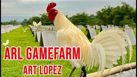 Art Lopez ( ARL Gamefarm ) .